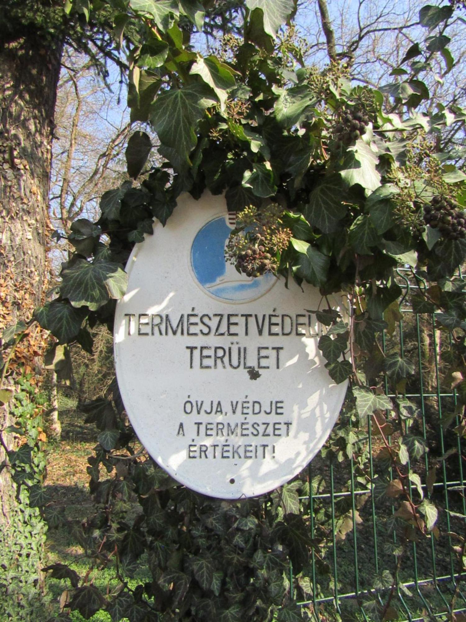 Festetich Kastelyszallo Es Zsuzsanna Hotel Szeleste Zewnętrze zdjęcie